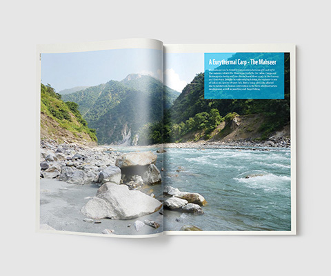 porfolio